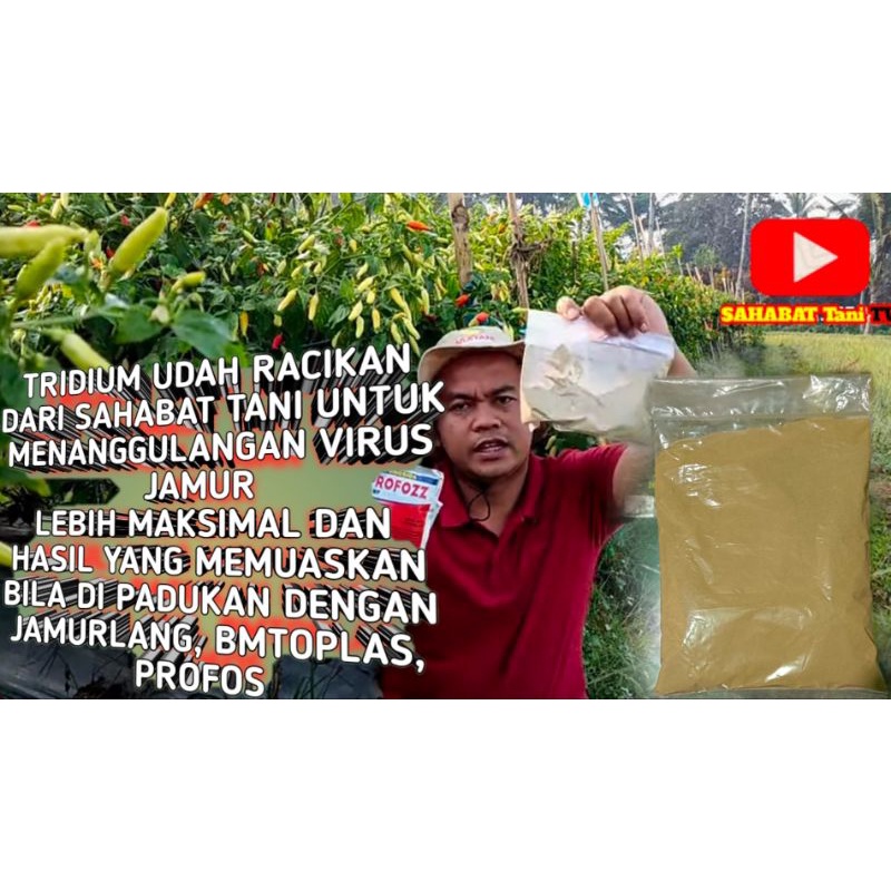 Jual FUNGISIDA RACIKAN SAHABATANI 200GR AMPUH UNTUK SERANGAN JAMUR ...