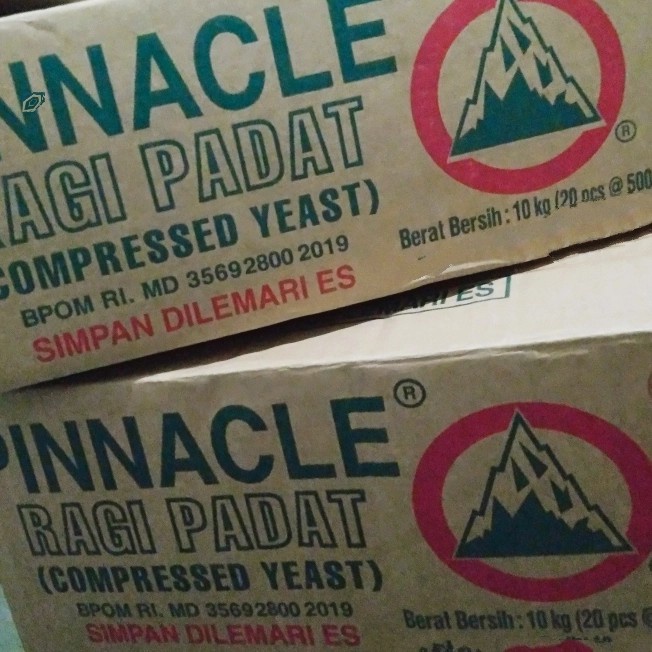 Jual Ragg Pinnacle Yeast 1 Dus Ragi Basah (20 Pcs)-Gojek/Grab Only ...