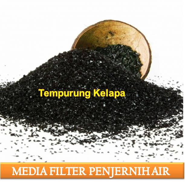 Jual Karbon Aktif Arang Tempurung Kelapa Media Filter Air 10kg Shopee