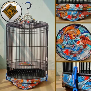 Katta, ahmoq mushuk surati Etek ostidagi qizil tanli onalarning fotosuratlari