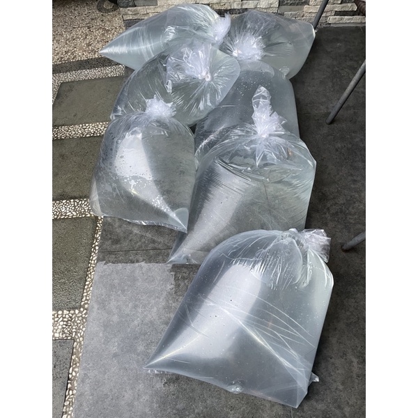 Jual Air Laut Asli Untuk Aquarium Laut Shopee Indonesia