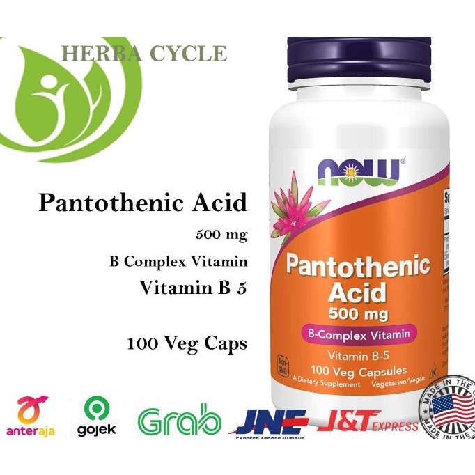Jual Now Foods Pantothenic Acid 500mg 100 VegCap Vit B Complex Vit B5 USA Shopee Indonesia