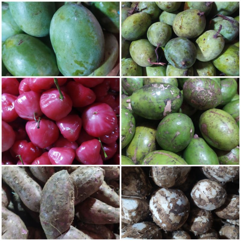 Jual Buah Bahan Rujak Mangga Muda Jambu Air Kedondong Bengkuang Ubi ...