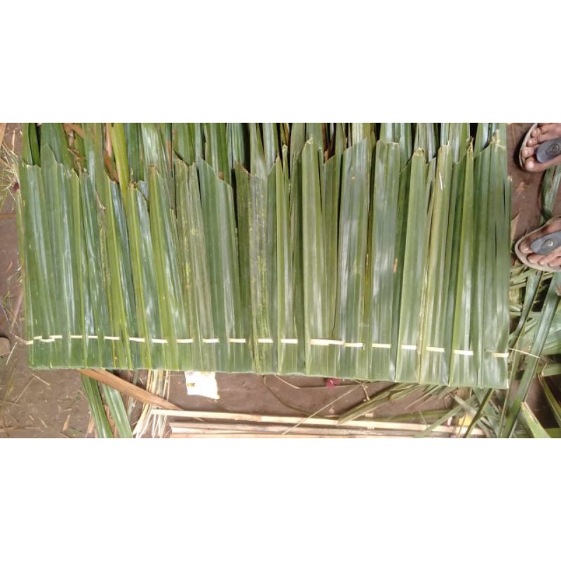 Jual Atap rumbia / atap kirai / atap daun nipah (10lembar / 5,000 ...