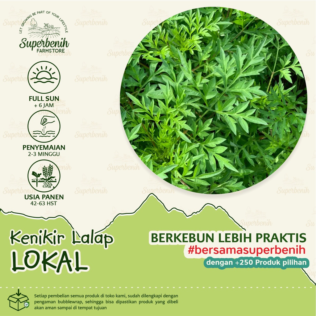 Jual 100 Biji Benih Bibit Sayuran Kenikir Lokal Untuk Sayur Lalap