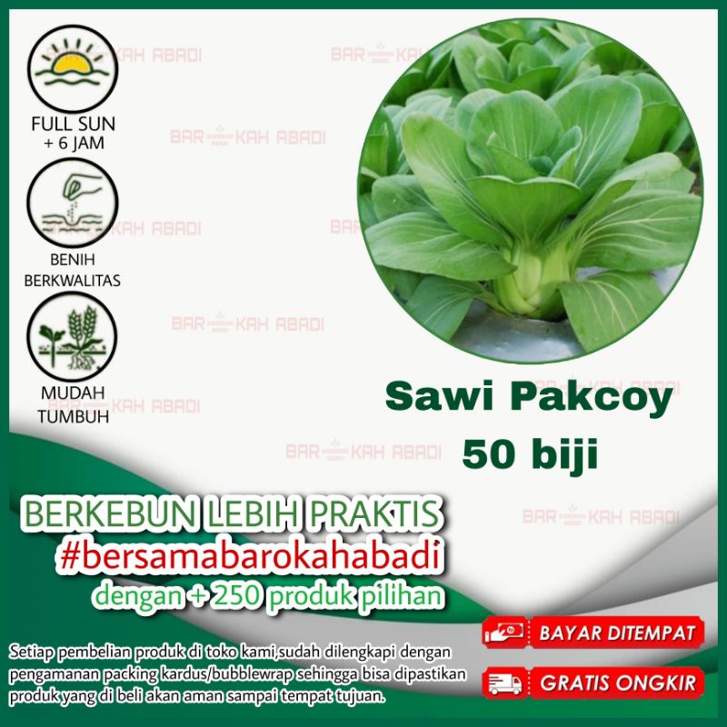 Jual 50 Benih Sawi Pakcoy Nauli F1 Cap Panah Merah Bibit Sayuran