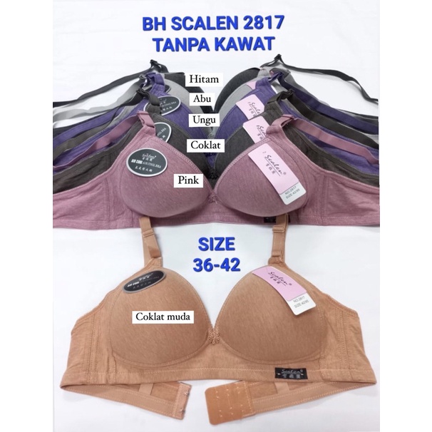 Jual BH/Bra Merek Scalen 2817 Air Cool, CUP C/BESAR, Pakaian Dalam Wanita  Dewasa, Tanpa Kawat