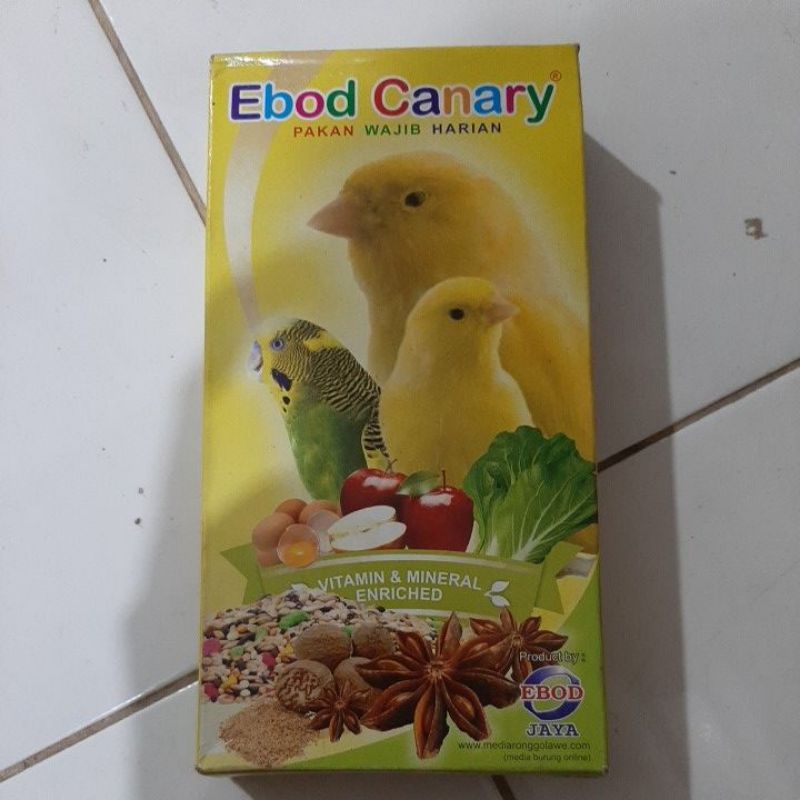 Jual ebod canary | Shopee Indonesia