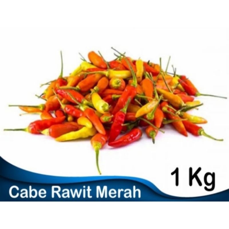 Jual Cabe Rawit Merah 1 Kg Shopee Indonesia