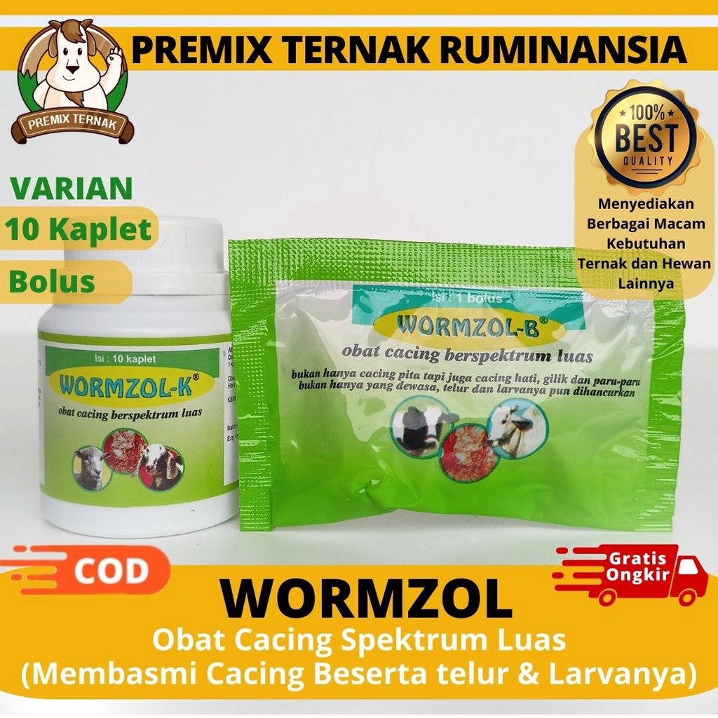 Jual WORMZOL K 10 Kaplet Pot & WORMZOL BOLUS - Obat Cacing Kambing ...