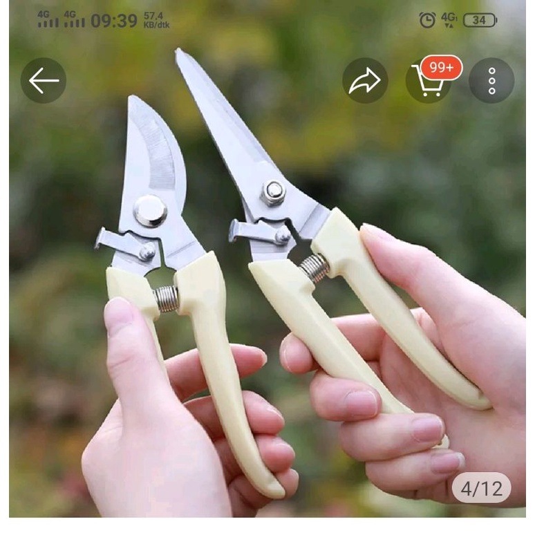 Jual Gunting dahan/ranting super tajam bengkok dan lurus | Shopee Indonesia