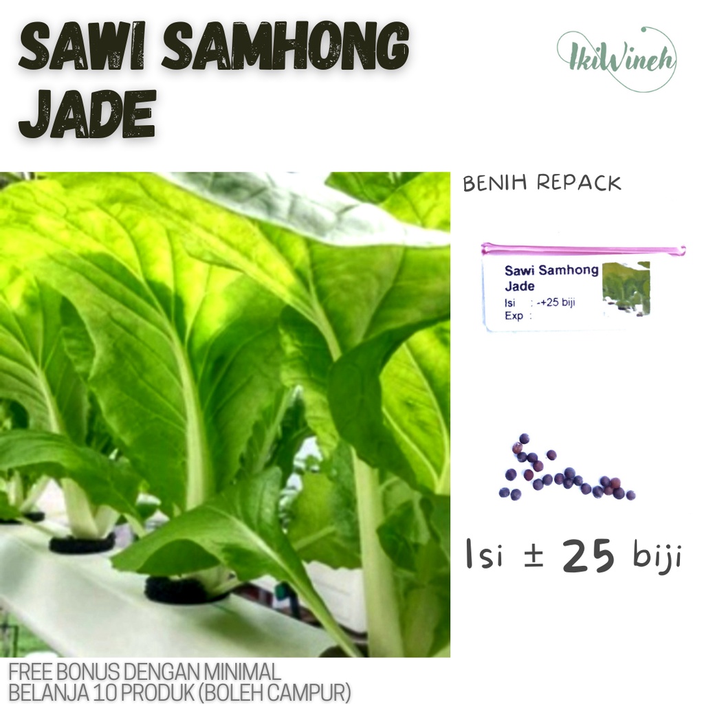 Jual B 11 Benih Sawi Samhong Jade Repack Isi ± 25 Biji Shopee Indonesia