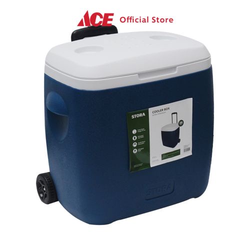 Cooler box di ace hot sale hardware