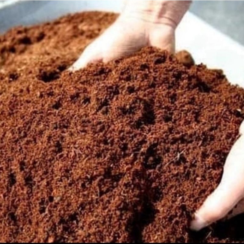 cocopeat halus isi 500 Gram, alas reptil, gecko, tarantula, media tanam