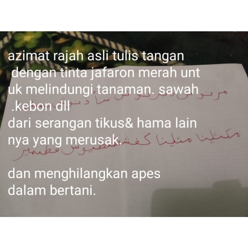 Jual pengusir tikus dan hama(azimat rajah) | Shopee Indonesia