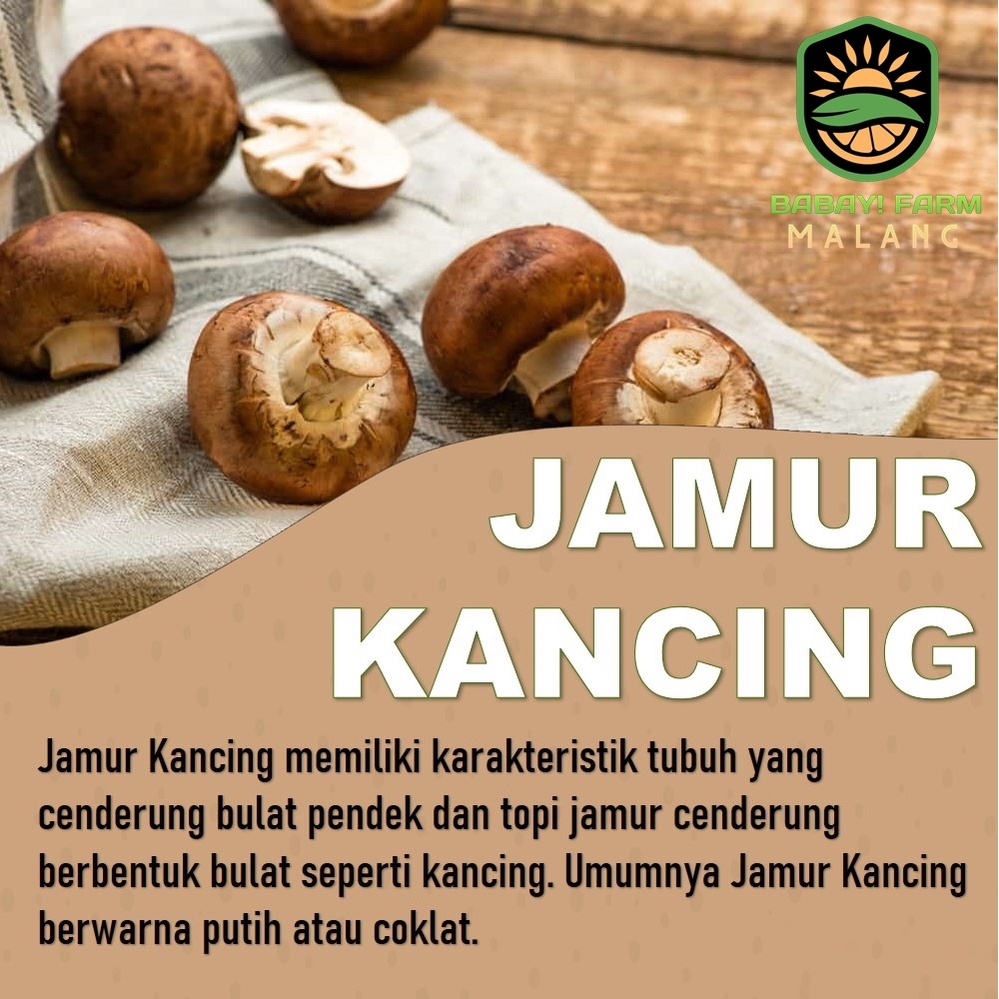 Jual Jamur Kancing 100 gr / 1 ons per pack | Shopee Indonesia