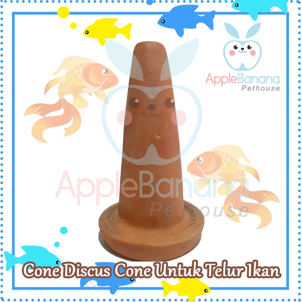 Jual cone discus cone untuk telur ikan discus cone breeding discus ...