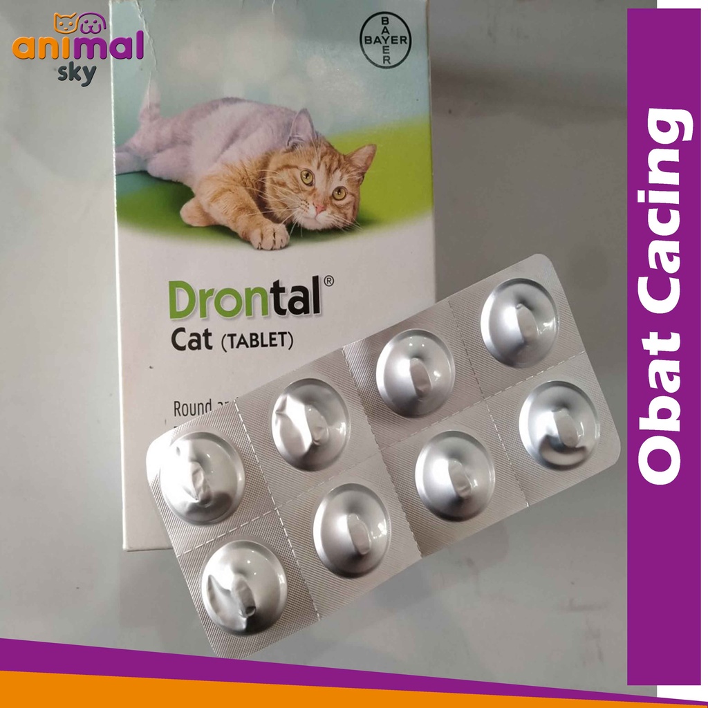 Jual Obat Cacing Kucing Drontal Cat Tablets / Terjamin Terbaik Shopee