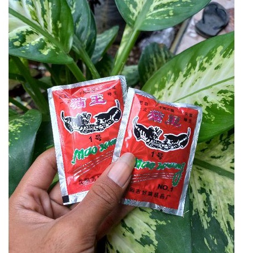 Jual Racun Tikus Mao Wang Obat Tikus Pembasmi Hama 100 Original