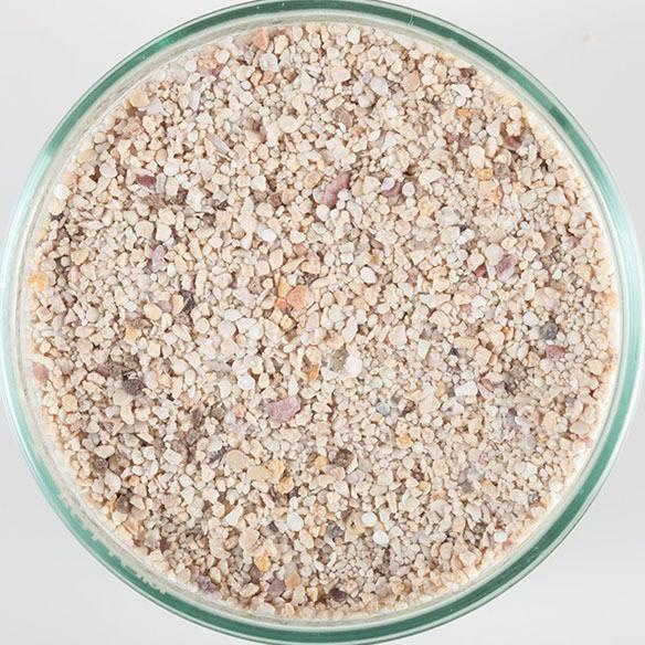 Jual Caribsea AragAlive Fiji Pink Live Sand 10 kg Shopee Indonesia