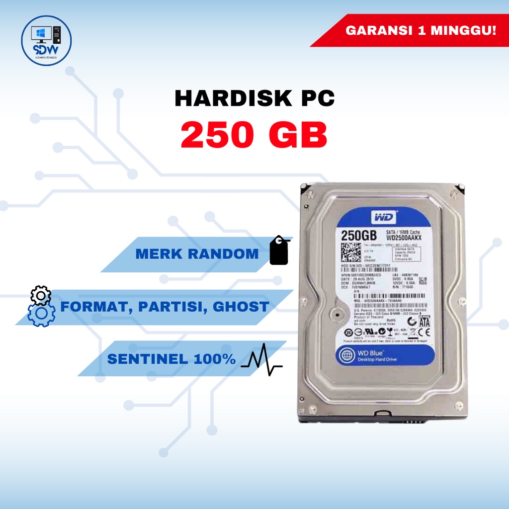 Jual Hardisk PC 250 GB 100% | Shopee Indonesia