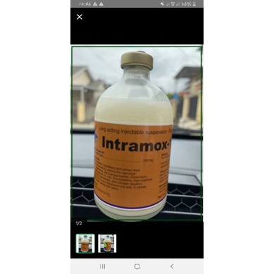 Jual intramox la | Shopee Indonesia