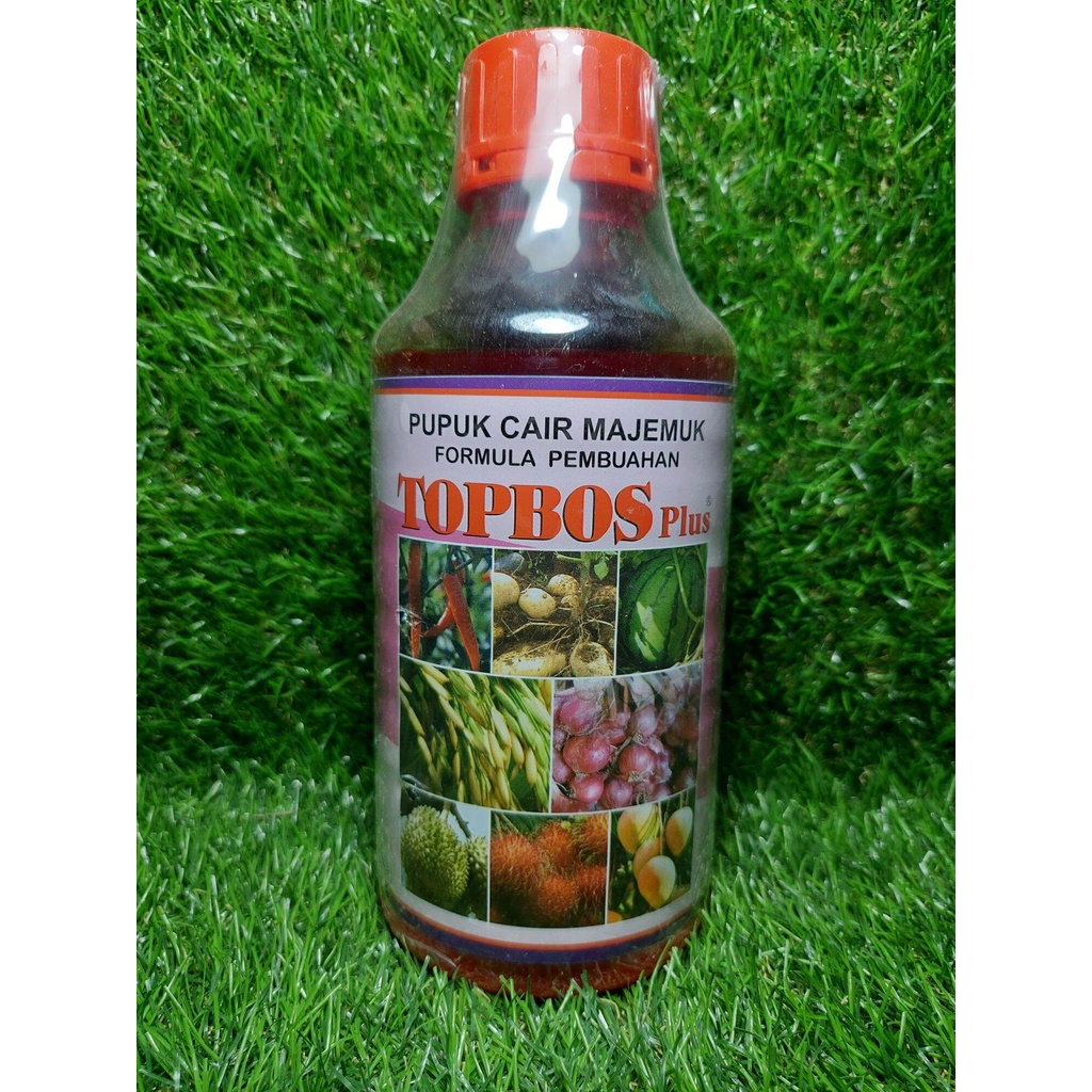 Jual TOPBOS PLUS BUAH 1 LITER/pupuk cair majemuk/pupuk perangsang buah ...