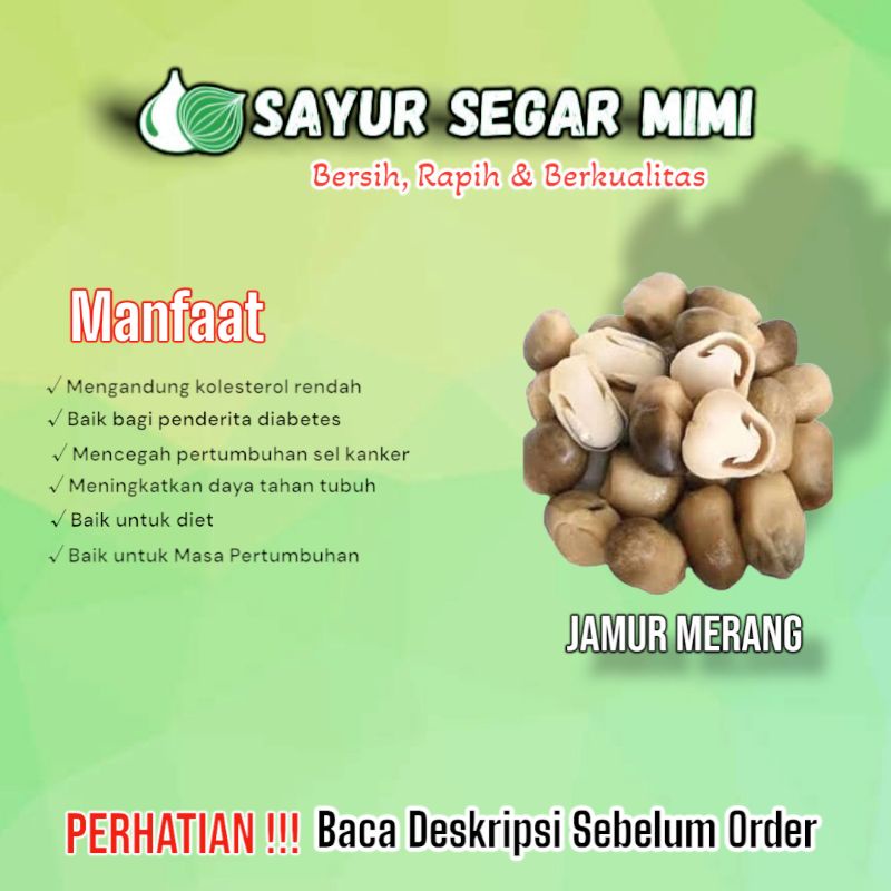 Jual Jamur Merang / Jamur Sawit Sᴀʏᴜʀ Sᴇɢᴀʀ ♏ɪᴍɪ Shopee Indonesia