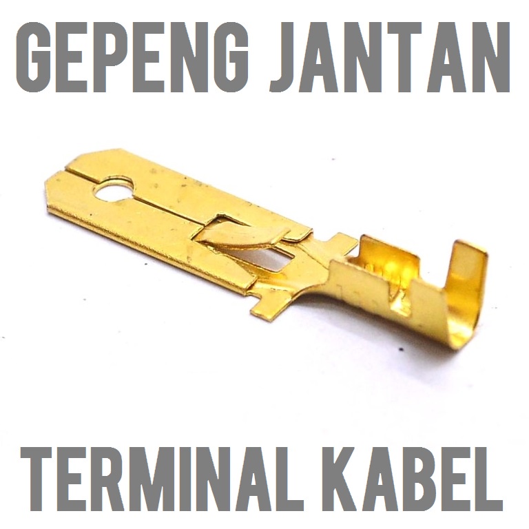 Jual SKUN TERMINAL bulat gepeng jantan betina male female cowok cewek ...