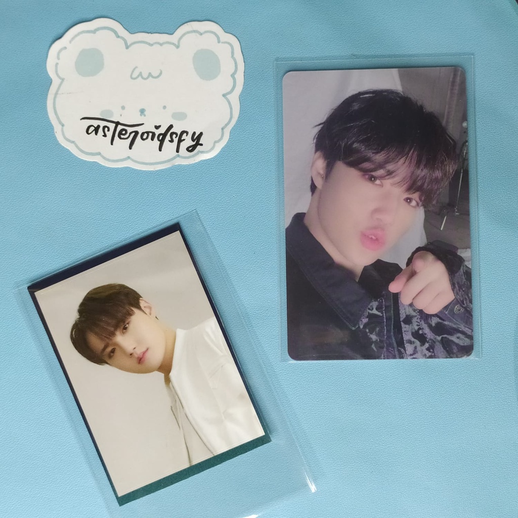 Jual DOYOUNG DOBBY APPLEWOOD NOOT NOOT NUNJUK STICKER MD OFFICIAL