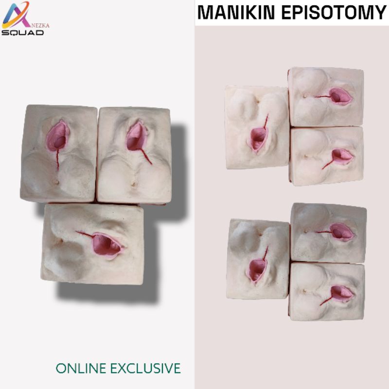 Jual Phantom Manekin Manikin Episiotomy Shopee Indonesia