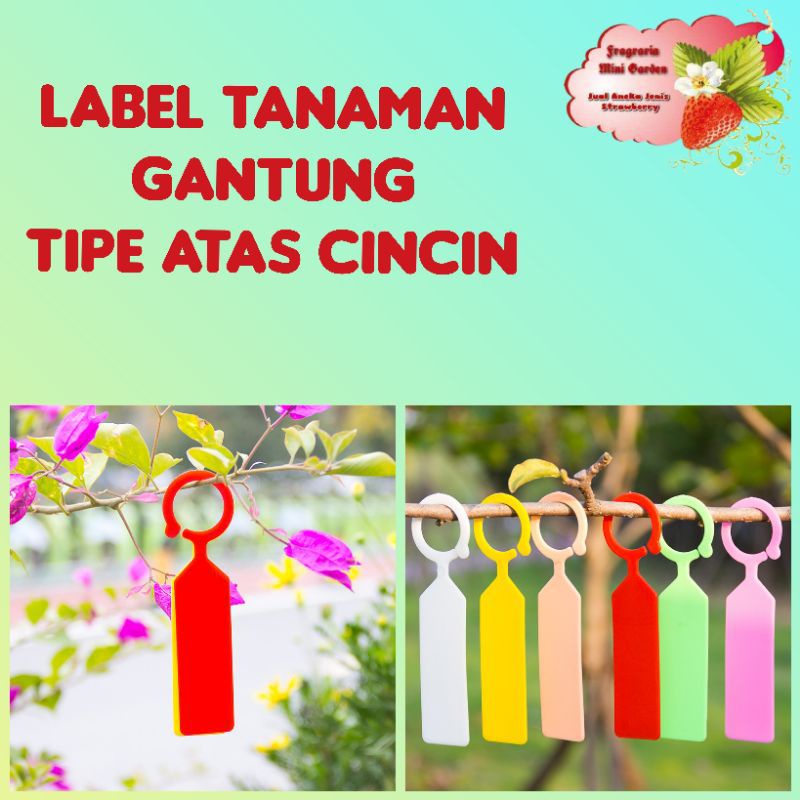 Jual Label tanaman tipe cincin atas | Shopee Indonesia