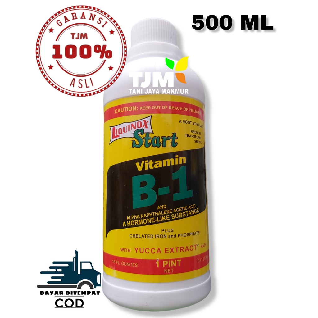 Jual VITAMIN B-1 470 ML/vitamin B1/liquinox Start Vitamin B1/hormon ...