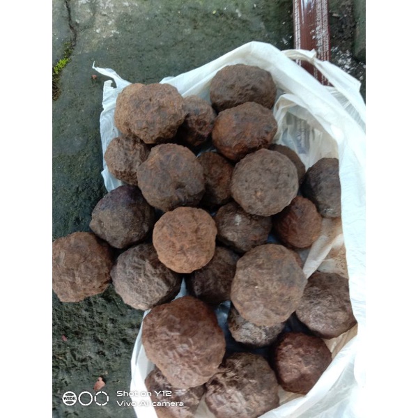 Jual batu Badar besi selonatah gunung kendeng 4 biji | Shopee Indonesia