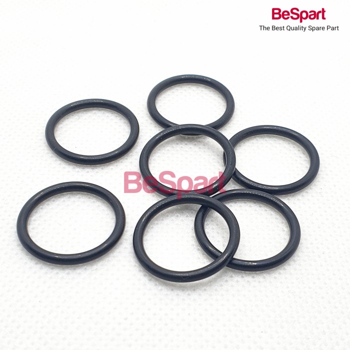 Jual Silahkan Order] Oring Steam Valve Simonelli, Conti, Victoria ...