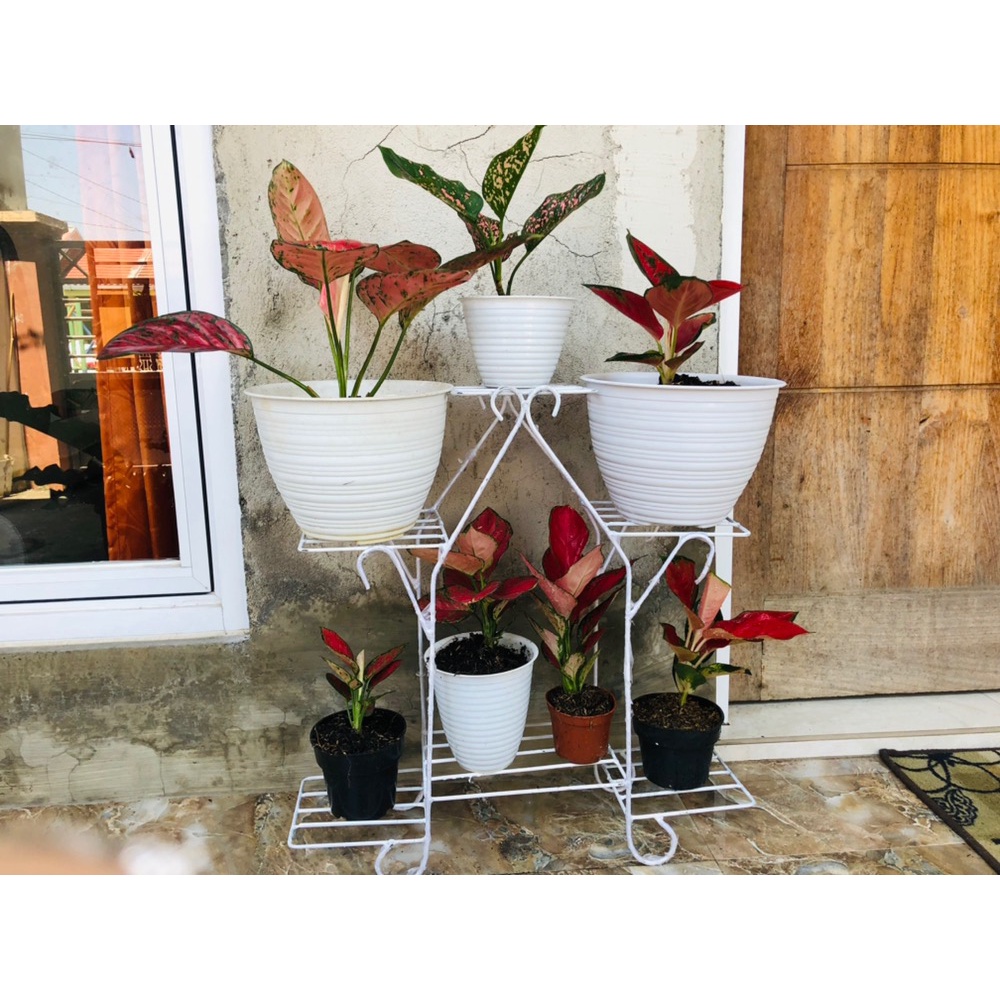 Jual standing A motif/rak bunga susun 6 motif/standing pot besi/rak ...