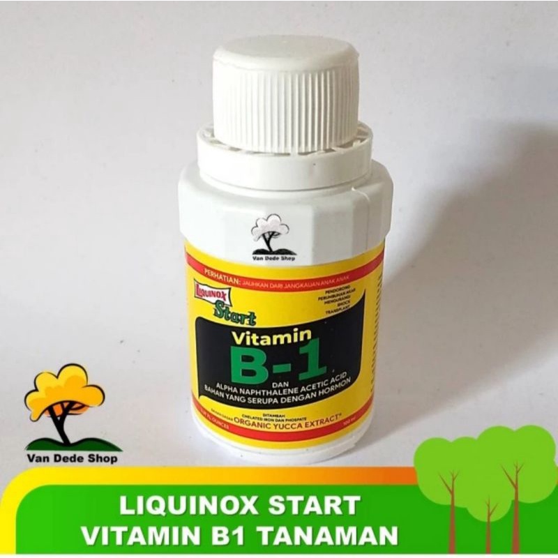 Jual Vitamin B1 Tanaman Liquinox Start 100 Ml | Shopee Indonesia