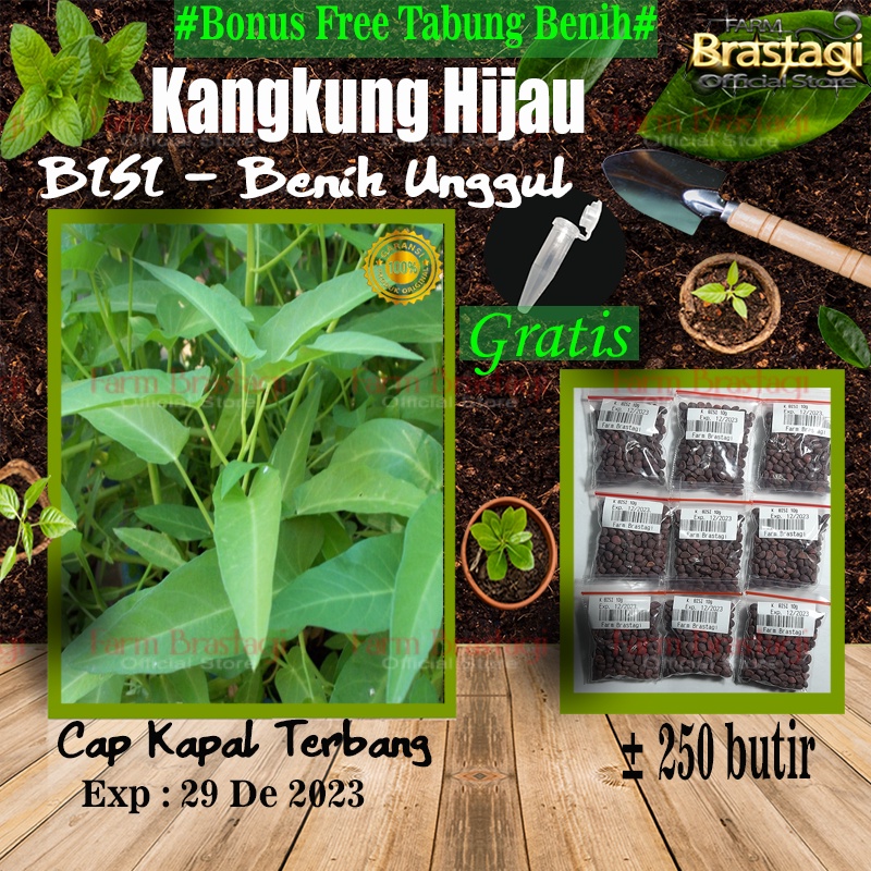 Jual Benih Kangkung Unggulan Bisi Cap Kapal Terbang Bibit Tanaman