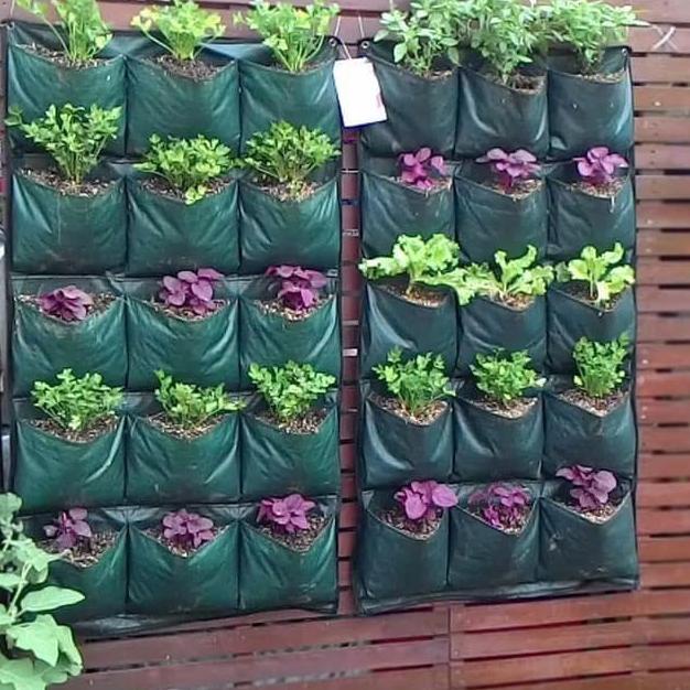 Jual Vertical Garden WallPlanter Taman Dinding 15 Kantong - Easy Grow ...