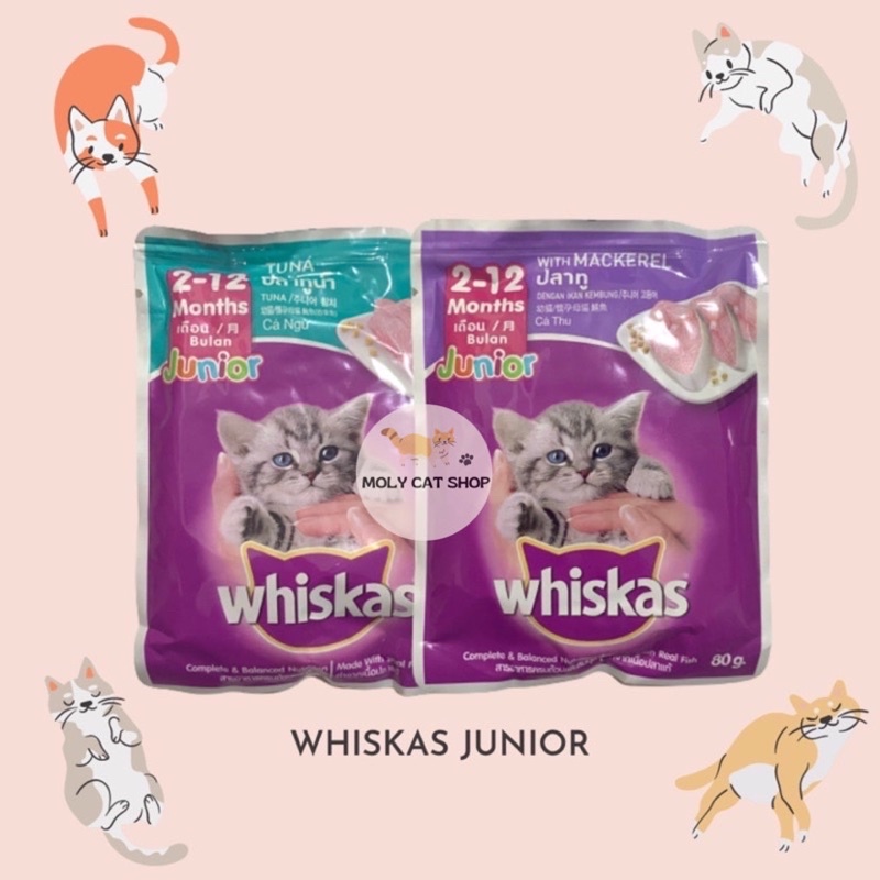 Jual Whiskas Junior Sachet Pouch Wetfood Kucing Shopee Indonesia