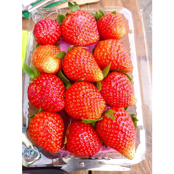 Jual Buah Strawberry 250 Gr | Shopee Indonesia