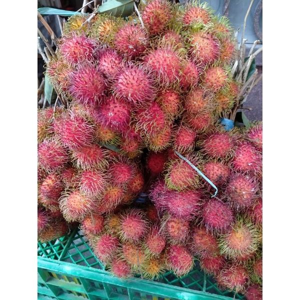 Jual Buah Rambutan 1 Kg Shopee Indonesia 6341