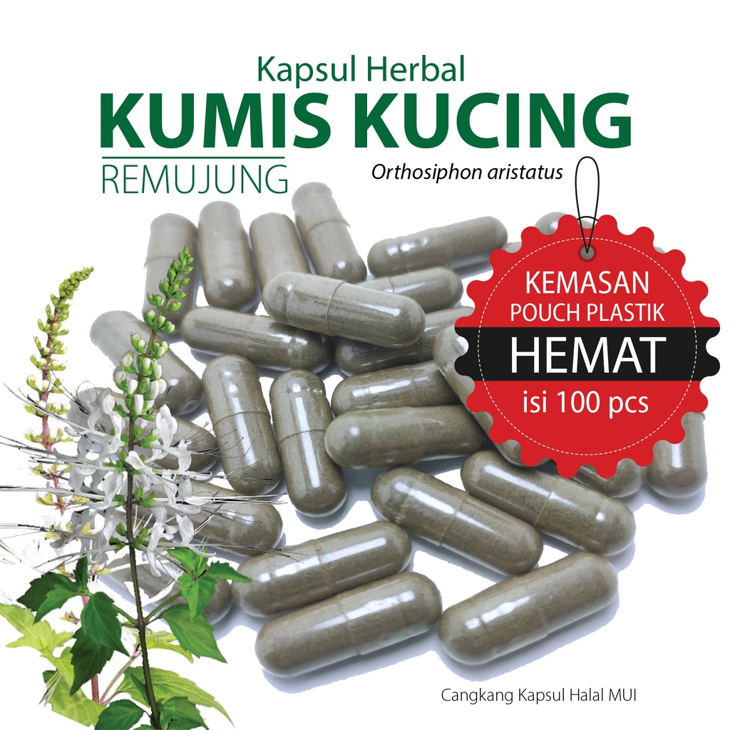 Jual KUMIS KUCING 100 Kapsul Herbal Kesehatan Ginjal, Kandung Kemih