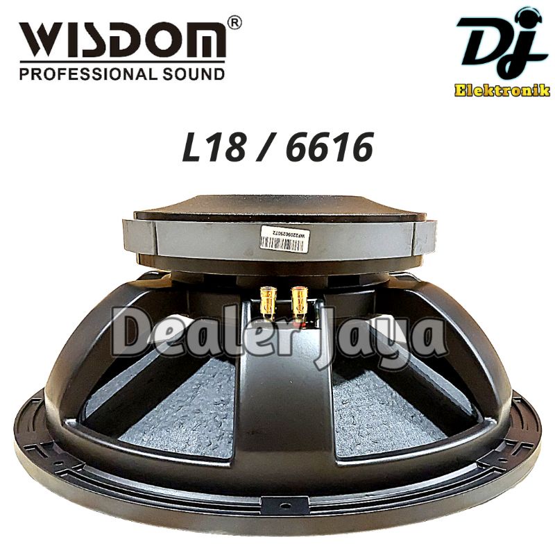 Speaker wisdom hot sale 18 inch