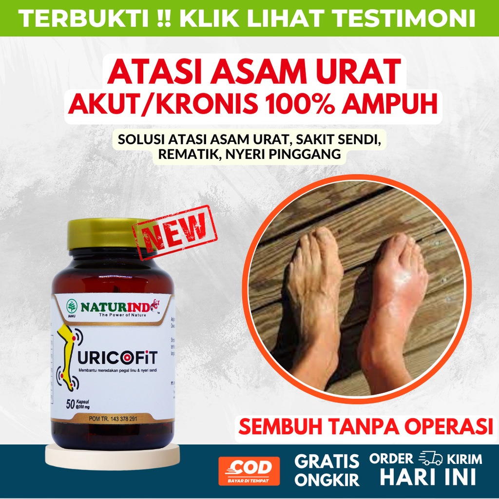 Jual Obat Herbal Asam Urat Dan Kolesterol Tinggi Nyeri Sendi Rematik