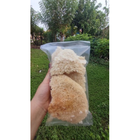 Jual intip original | Shopee Indonesia