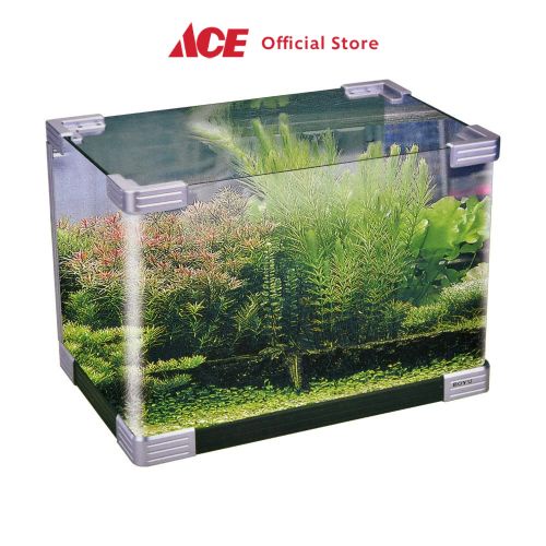 Jual Ace Boyu 16 ltr Aquarium Asd-300 Tank Aquarium Aquascape Tempat ...