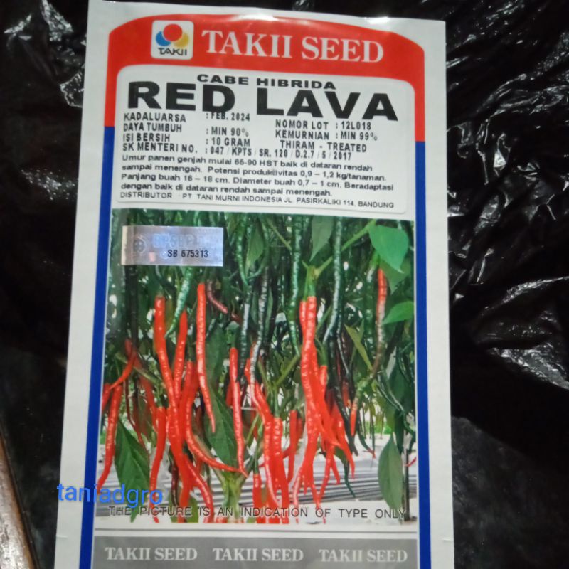 Jual Benih Cabe Kriting Hibrida F1 Isi 10 Gr Red Lava Expired 2024