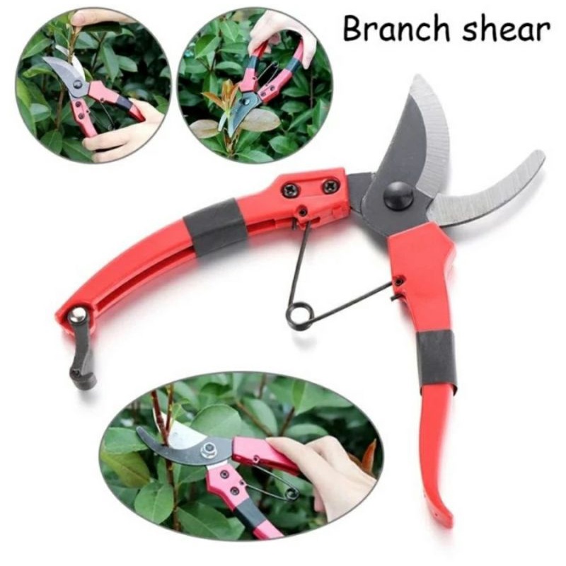 Jual GUNTING RANTING bengkok potong bunga dahan pohon taman kebun ...