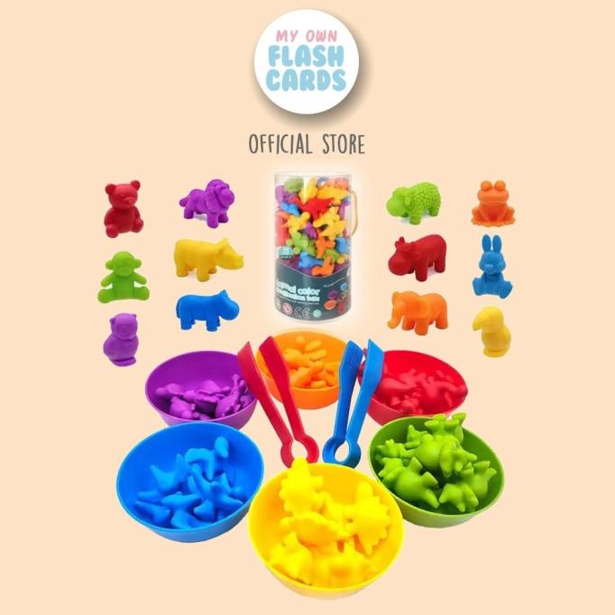 Jual Classification Toy with FREE Sorting Bowl and 2 Tweezers Color ...